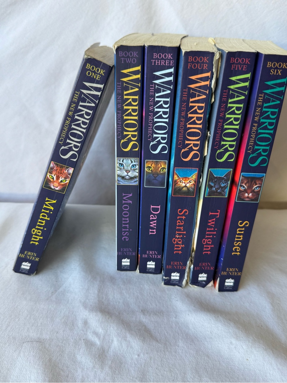 Warriors The New Prophecy Erin Hunter PB Box Set Books 1-6 Midnight-Sunset